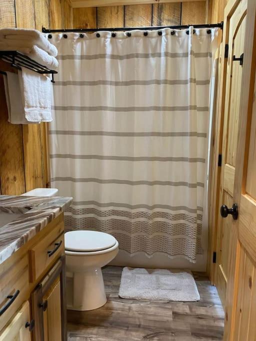 The Llaguna Lodge - New Cabin, Sleeps 10, Fire Pit, Hot Tub, In Blue Ridge , Ga Экстерьер фото
